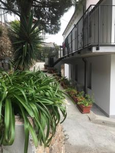 a courtyard with potted plants next to a building at Casa del sasso in Bergeggi