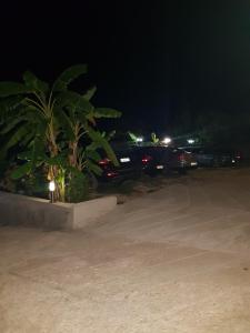 un gruppo di auto parcheggiate in un parcheggio di notte di Hotel Afrodite a Dhërmi