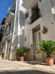 a white building with potted plants in front of it at fiori catene tra le torri in Conversano +115 photos