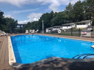 a large blue swimming pool with ducks in it at West Winds Motel & Cottages in Clayton