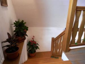 Fotografia z galérie ubytovania Apartmány U sv. Floriána v destinácii Slavonice