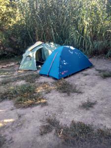 Fotografie z fotogalerie ubytování Les Bambous, camping naturiste v destinaci Ile du Levant