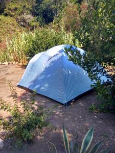 Fotografie z fotogalerie ubytování Les Bambous, camping naturiste v destinaci Ile du Levant
