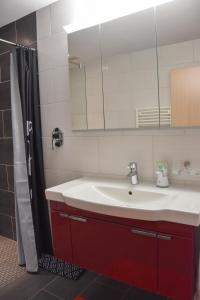 a bathroom with a sink and a mirror at Chez Julia in Tramelan