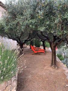 Zahrada ubytování Le Clos en Provence