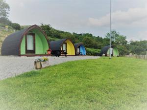 un grupo de tiendas de campaña en un campo con hierba en East Coast Adventure Centre Glamping en Rostrevor
