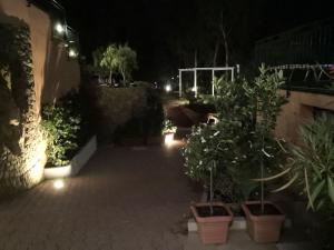 a courtyard with potted plants and lights at night at Villa Santa Barbara in Cefalù