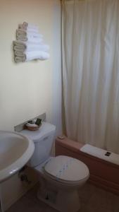 een badkamer met een wit toilet en een wastafel bij River Mist Inn in Sturgeon Falls