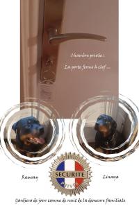 a chocolate dog is sitting in a box at E lu chantauziau in La Monnerie-le Montel