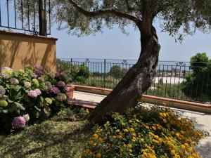 un árbol sentado junto a un banco junto a las flores en Villa Santa Barbara, en Cefalú