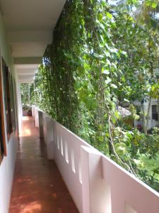 Um jardim em Jickys Nest