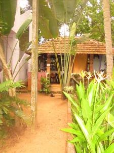 Um jardim em Jickys Nest