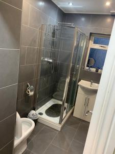 a bathroom with a shower with a toilet and a sink at Lake Lounge Rooms in Littleborough