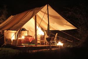 a tent with a bed and chairs in a field at night at Quatermain's 1920's Safari Camp – Amakhala Game Reserve in Amakhala Game Reserve