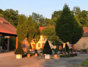 a group of trees in front of a building at Elegantes Gästeapartment Verano in Schloß und Hofgut Langenzell in Wiesenbach