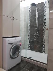 a washing machine in a bathroom with a shower at FAMILY APARTMENT Meteora in Kalabaka