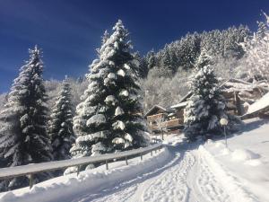 un arbre de Noël recouvert de neige devant une cabine dans l'établissement Campanule, à Champagny-en-Vanoise