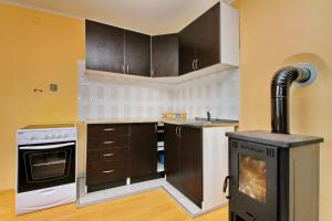 Kuchyň nebo kuchyňský kout v ubytování Tara lake apartments