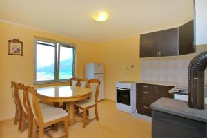 Kuchyň nebo kuchyňský kout v ubytování Tara lake apartments