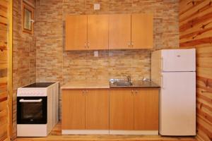 Kuchyň nebo kuchyňský kout v ubytování Tara lake apartments
