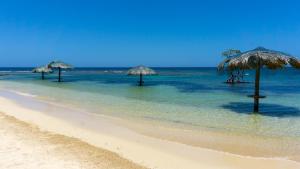 Fotografie z fotogalerie ubytování Las Palmas Beach Hotel v destinaci Dixon Cove