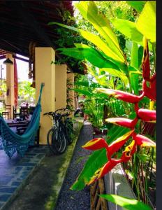 Fotografie z fotogalerie ubytování Villa Albardão Serrambi v destinaci Porto de Galinhas + 25 fotografií