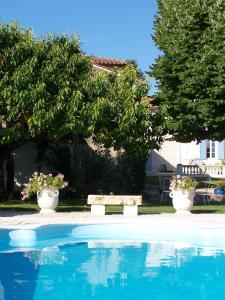 uma piscina com dois vasos de plantas e um banco em Le Four à Pain em Saint-Jean-dʼAngély