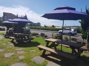 a group of picnic tables with umbrellas on the grass at Purmir Pension in Seogwipo
