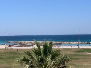 a beach with a palm tree in front of the ocean at PRADO PLAGE in Marseille