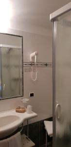 bagno con doccia, lavandino e specchio di Hotel Roy a Malga Ciapela