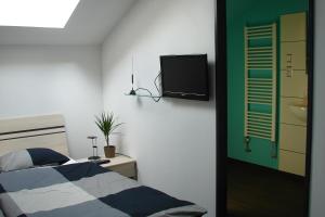 Televízia a/alebo spoločenská miestnosť v ubytovaní Ubytování v Brně