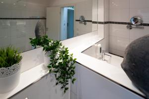 La salle de bains est pourvue d'un lavabo et d'une plante en pot. dans l'établissement Gästehaus an der Sempt - Wohlfühlen auf dem Lande, à Erding