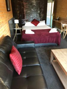 Tamworth Central Motel في تامفورث: غرفة نوم مع أريكة وسرير مع وسائد حمراء