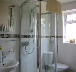 a bathroom with a shower and a toilet and a sink at The Loudor in Lincoln
