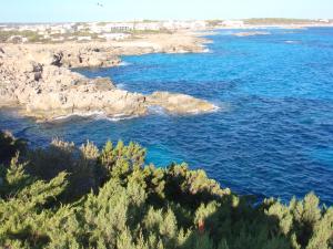 an aerial view of the ocean with rocks and trees at Hotel Club Sunway Punta Prima in Es Pujols