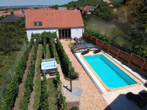 an overhead view of a swimming pool in front of a house at Rezidence Věstonice in Horní Věstonice