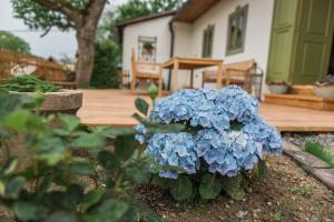 Fotografia z galérie ubytovania Nebo nad Štiavnicou - zelená chalupa s výhľadom v Banskej Štiavnici