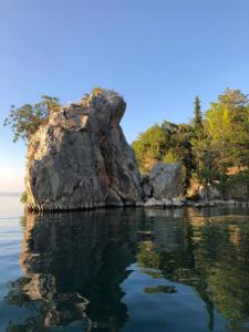 ein großer Felsen im Wasser mit Bäumen im Hintergrund in der Unterkunft Rooms and Apartaments De Niro in Trpejca