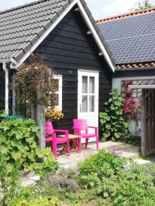 a group of pink chairs sitting outside of a black house at Zalk blijven slapen in Zalk