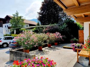 Zahrada ubytování Landgasthof "Wilder Mann"