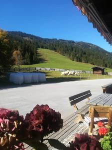 Photo de la galerie de l'établissement Pension Walchauhof, à Flachau