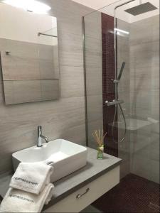 ein Bad mit einem Waschbecken und einer Dusche in der Unterkunft I Quattro Elementi in Marina di Mancaversa