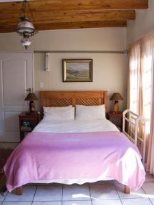 a bedroom with a large bed with a pink blanket at Petal Faire Cottage in Pretoria