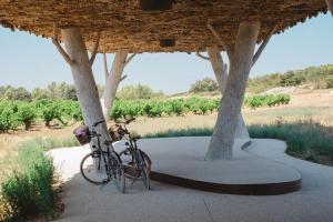 Rattasõit majutusasutuse Village Castigno - Wine Hotel & Resort aladel või selle läheduses
