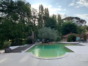 a swimming pool with green water in a yard at LA BOURDETTE in Saverdun