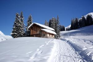 Hotel Edelweiss v zime