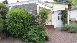 Zahrada ubytování Ferienhaus II Heyder