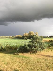 KluisにあるHotel Kranichblickの雲空の草原