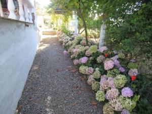 uma linha de flores roxas ao lado de uma cerca em Casa el Refugio de Arucas em Arucas