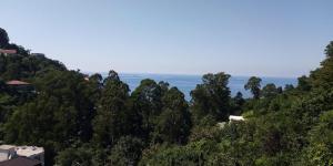 Φυσικό τοπίο κοντά σε αυτό το ξενοδοχείο